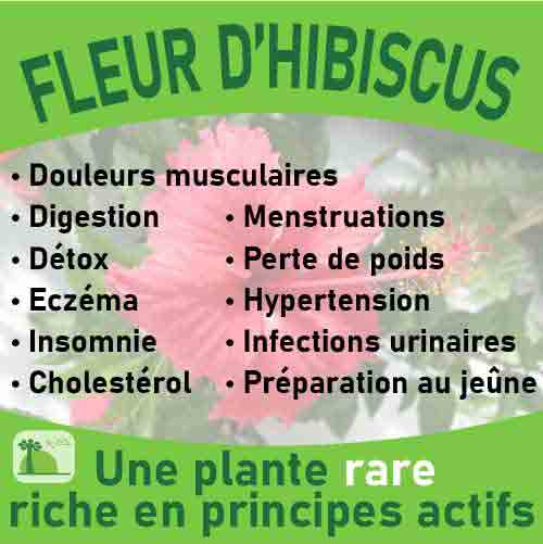 Fleurs D'Hibiscus Bio - Sachet De 50G - Jumpl